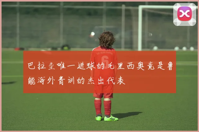巴拉圭唯一进球的毛里西奥竟是鲁能海外青训的杰出代表