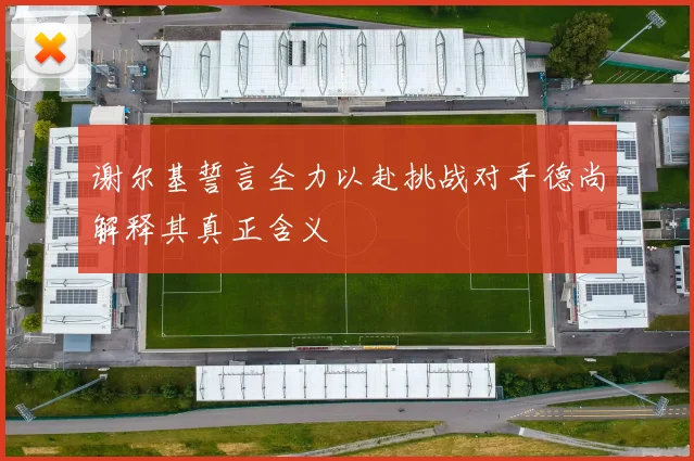 谢尔基誓言全力以赴挑战对手德尚解释其真正含义