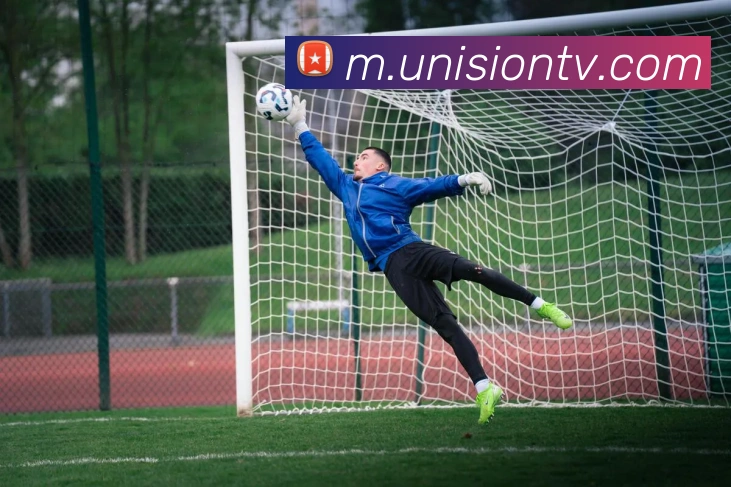 APP界面展示